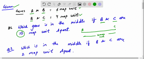 genes-a-and-b-are-6-map-units-apart-and-a-and-c-are-4-map-units-apart-which-gene-is-in-the-middle--5