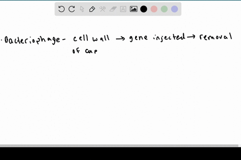 briefly-explain-the-difference-between-the-mechanism-of-entry-of-a-t-even-bacteriophage-and-an-anima