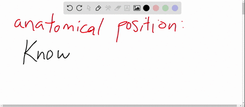 why-is-an-understanding-of-the-anatomical-position-important