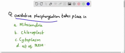 oxidative-phosphorylation-occurs-in-a-mitochondria-b-chloroplast-c-cytoplasm-d-all-of-these