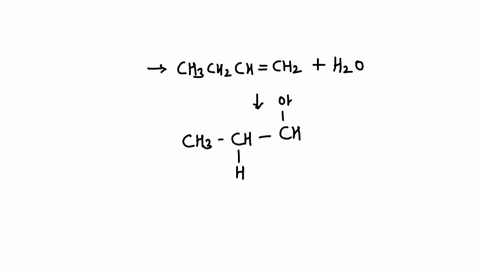 reagents-such-as-mathrmhcl-mathrmhbr-and-mathrmhohleftmathrmh_2-mathrmoright-can-add-across-carbon-c