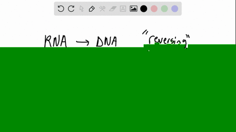 an-enzyme-that-uses-an-internal-rna-template-to-synthesize-dna-is-______