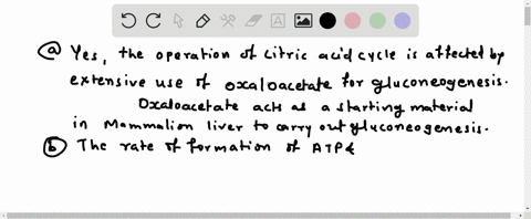 mammalian-liver-can-carry-out-gluconeogenesis-using-oxaloacetate-as-the-starting-material-chapter-14