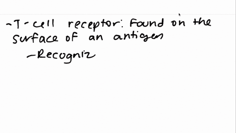 what-is-the-difference-between-a-t-cell-receptor-tcr-and-a-tcr-complex-2