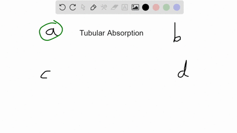 in-tubular-absorption-which-of-the-following-processes-essentially-drives-all-of-the-others-a-active