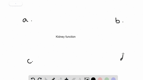 kidneys-return-water-and-small-solutes-to-the-blood-by-the-process-of-________-a-filtration-b-reabso