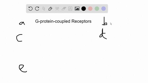 which-of-the-following-is-incorrect-about-pathways-activated-by-g-protein-coupled-receptors-a-the--3