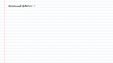 read-the-following-statements-and-select-the-correct-ones-i-in-simple-cuboidal-epithelium-nuclei-are