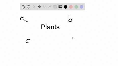 which-of-the-following-statements-is-not-correct-a-gymnosperms-were-the-earliest-flowering-plants-b-