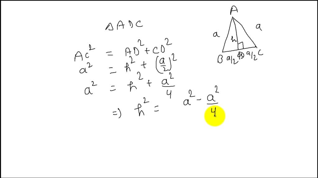 SOLVED:An equilateral triangle is shown below. (F…