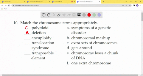match-the-chromosome-terms-appropriately-polyploid-a-symptoms-of-a-genetic-deletion-disorder-b-chrom