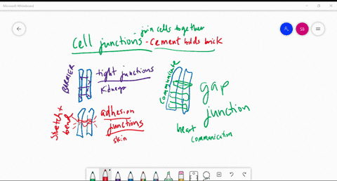 which-of-the-three-types-of-cell-junctions-permits-communication-between-cells-explain-pages-74-76