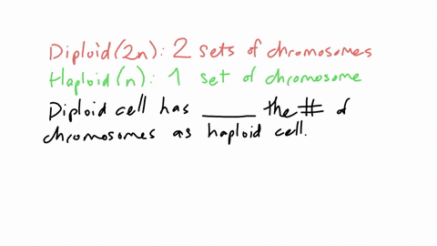 a-diploid-cell-has-how-many-times-the-number-of-chromosomes-as-a-haploid-cell-a-four-times-b-half-c-