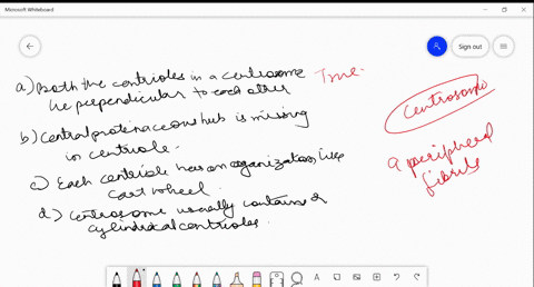 which-of-the-following-statements-is-incorrect-for-centrioles-a-both-the-centrioles-in-a-centrosome-