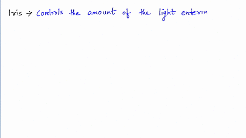 quantum-of-light-entering-the-eye-through-the-pupil-is-dependent-on-a-ciliary-body-b-lens-c-retina-d