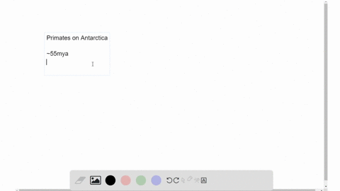 why-do-you-think-primate-fossils-havent-been-found-on-antarctica