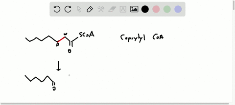 write-the-equations-for-the-remaining-passages-of-the-beta-oxidation-pathway-following-those-shown-i