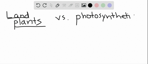 land-plants-differ-from-photosynthetic-protists-in-that-only-the-plants-a-are-photosynthetic-b-are-m