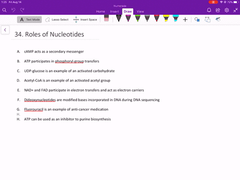 nucleotides-play-a-variety-of-roles-in-the-cell-give-an-example-of-a-nucleotide-that-acts-in-each-of