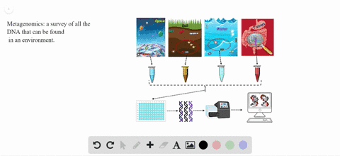 what-are-the-uses-of-metagenomics-a-identification-of-biofuels-b-testing-for-multiple-drug-susceptib