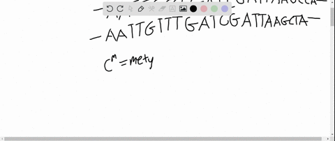 a-geneticist-is-interested-in-determining-the-locations-of-methylated-cytosines-within-a-fragment-of