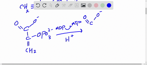 we-will-encounter-the-following-molecule-in-our-discussion-of-glycolysis-the-biochemical-pathway-t-2