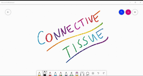 _____-tissues-are-the-bodys-most-abundant-and-widely-distributed-tissue-a-epithelial-b-connective-c-