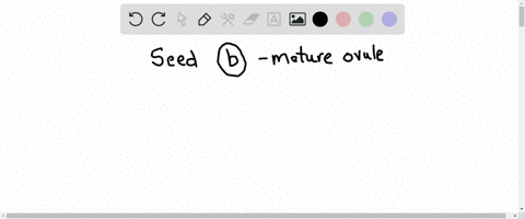 a-seed-is-a-________-a-female-gametophyte-b-mature-ovule-c-mature-pollen-grain-d-modified-microspore