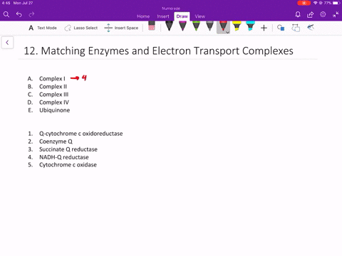 match-em-a-complaxi-1-q-cytochrome-c-oxidoreductase-b-complex-ii-2-coenzyme-q-c-complex-iii-3-succin