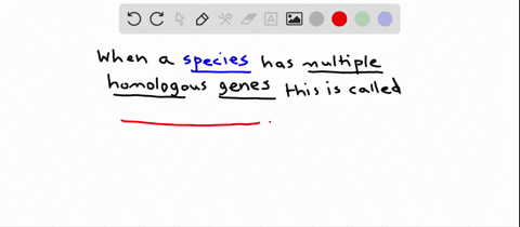 two-or-more-homologous-genes-found-within-a-particular-species-are-called-a-homozygous-b-orthologs-c