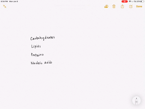 why-are-biological-macromolecules-considered-organic