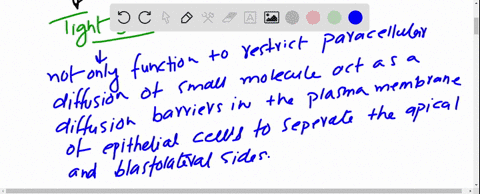 what-does-the-budding-of-influenza-virus-and-vesicular-stomatitis-virus-vsv-from-polarized-mdck-cell