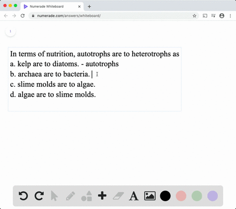 in-terms-of-nutrition-autotrophs-are-to-heterotrophs-as-a-kelp-are-to-diatoms-b-archaea-are-to-bac-2