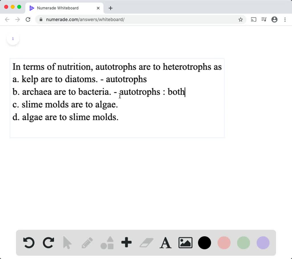 solved-in-terms-of-nutrition-autotrophs-are-to-heterotrophs-as-a-kelp