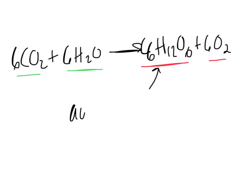 what-is-the-functional-relationship-between-photosynthesis-and-aerobic-respiration-and-how-does-this