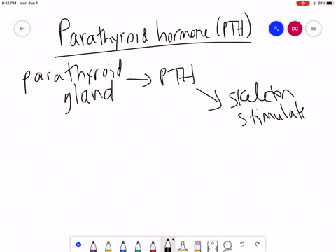 when-blood-calcium-levels-are-low-pth-stimulates-a-excretion-of-calcium-from-the-kidneys-b-excretion