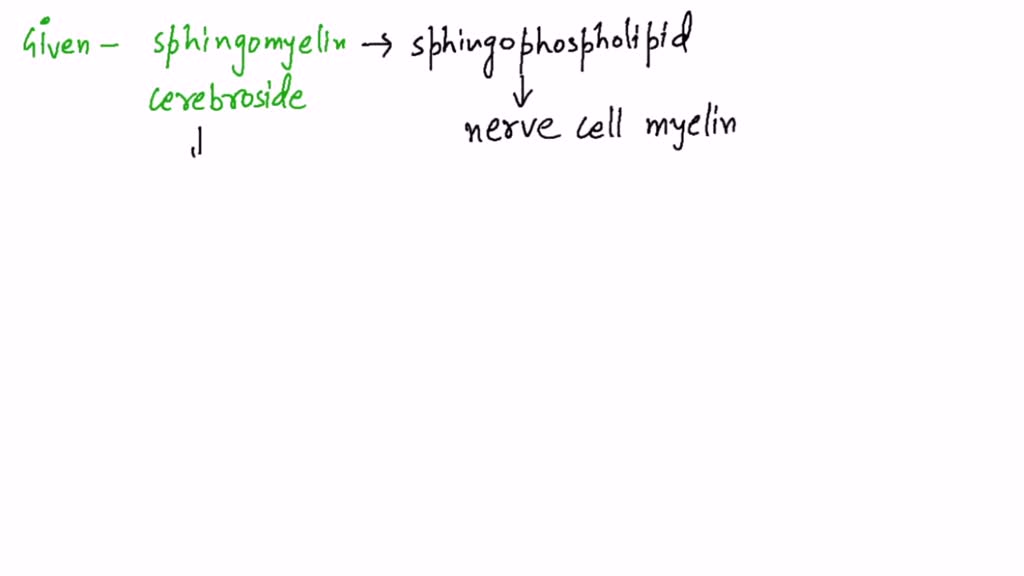 Structurally, what is the difference between a cerebroside and a ...