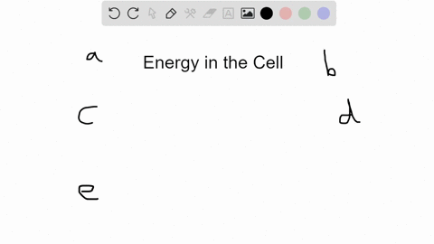 the-maintenance-of-a-relatively-stable-internal-environment-is-a-metabolism-c-constancy-b-evolution-