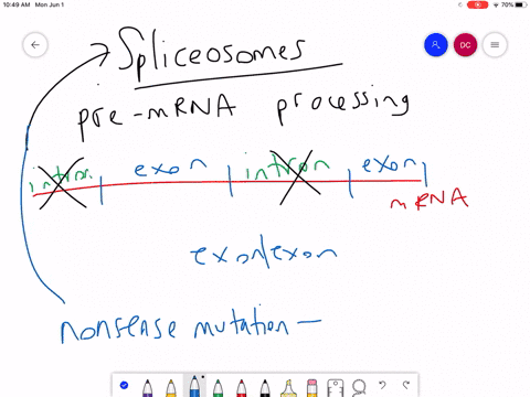 chronic-lymphocytic-leukemia-patients-often-harbor-nonsense-mutations-in-their-spliceosome-machinery
