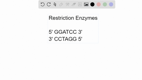 the-palindromic-recognition-sequence-for-the-restriction-enzyme-bamh1-is-5prime-ggatcc-3prime-rememb