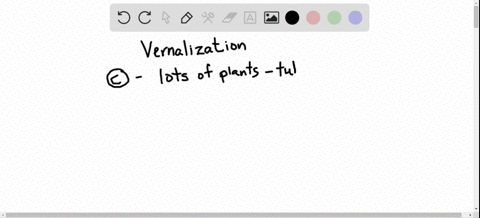 which-statement-about-vernalization-is-not-true-a-it-decreases-the-abundance-of-an-inhibitor-of-fl-2