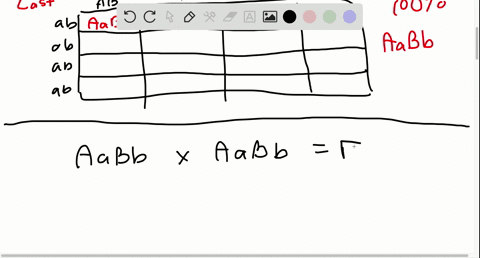 assuming-complete-dominance-crosses-between-two-dihybrid-mathrmf_1-pea-plants-which-are-offspring--5