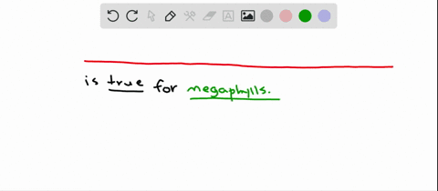 megaphylls-a-probably-evolved-only-once-b-are-found-in-all-the-tracheophyte-phyla-c-probably-arose-f