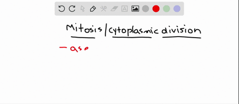 mitosis-and-cytoplasmic-division-function-in-________-a-asexual-reproduction-of-single-celled-euka-3