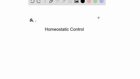 which-of-these-locations-in-the-forebrain-is-the-master-control-center-for-homeostasis-through-the-a