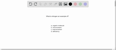 nitrogen-is-an-example-of-an-_________-because-plants-need-this-element-in-large-quantities-a-organi