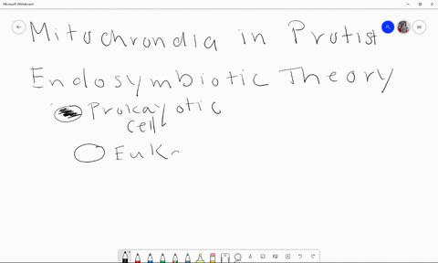 Protist Power A Microscopic Energy Revolution - eibwtj5