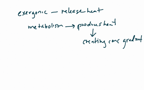 in-mitochondria-exergonic-redox-reactions-a-are-the-source-of-energy-driving-prokaryotic-atp-synth-2