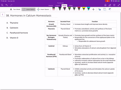all-of-the-following-play-a-role-in-calcium-homeostasis-except-a-thyroxine-b-calcitonin-c-parathyroi