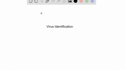 a-patient-presents-at-the-clinic-with-an-acute-viral-infection-assays-that-analyze-the-viral-life-cy